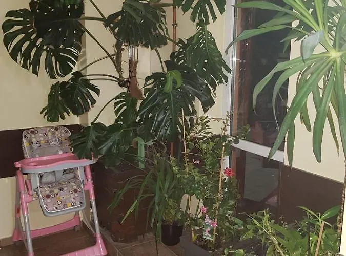 Проживання в сім'ї Relaks 2 *